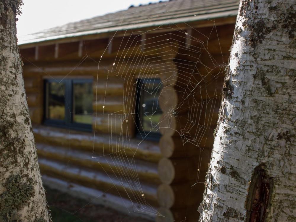 Rêves de Bois Loubeyrat Exterior foto